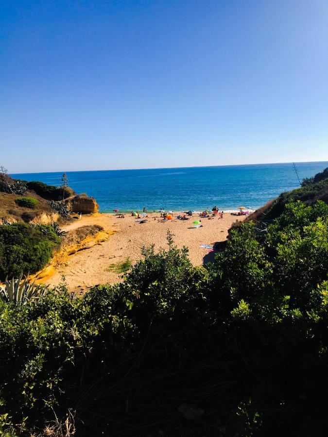 Casa Luz - Fuente Del Sol Conil De La Frontera